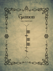Gannon in Ogham premium luster unframed print