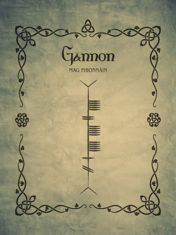 Gannon in Ogham premium luster unframed print