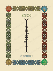 Cox in Old Irish and Ogham - PDF Download