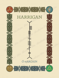 Harrigan in Old Irish and Ogham - Premium luster unframed print