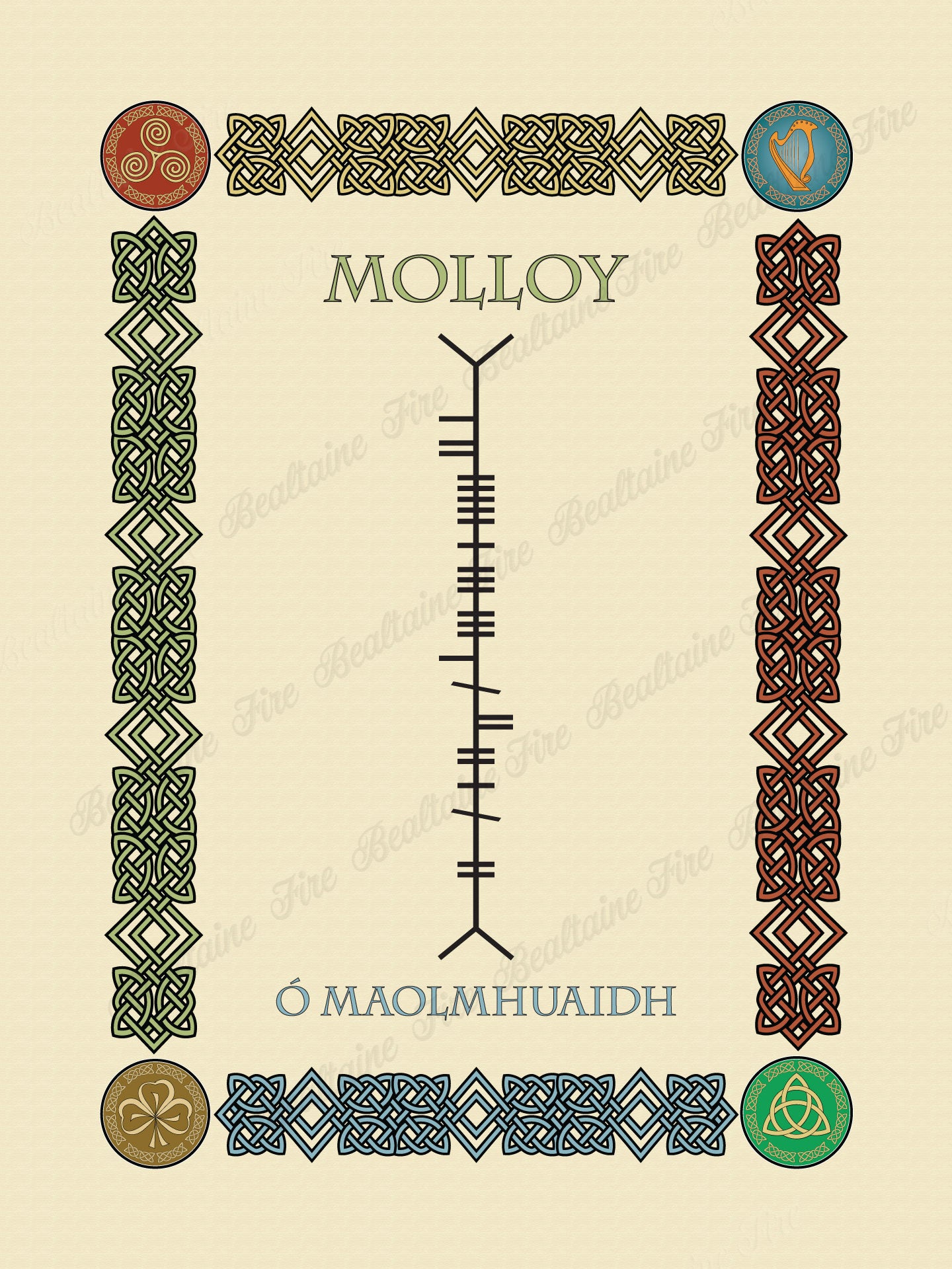 Molloy in Old Irish and Ogham - Premium luster unframed print