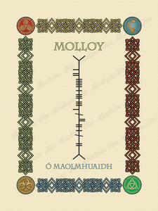 Molloy in Old Irish and Ogham - Premium luster unframed print