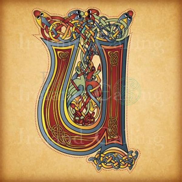 Illuminated Letters Framed Print